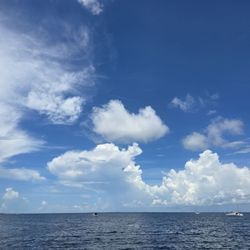Jimmy Johnson’s Big Chill - Perfect Day!