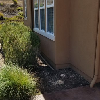 Greenvale Tree Company - Tree Services Near Me