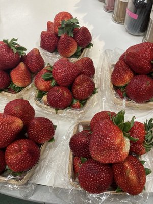 Georgia's Farmer's Market by null