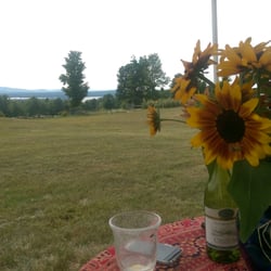 Top of the Hill Farm - Amazing sunflowers top a friendly table. And what a view!!!