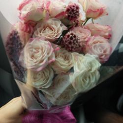 Beautiful Blossoms