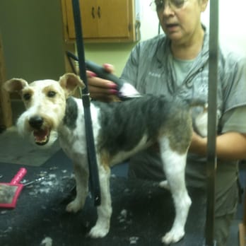 C and C Grooming - Pet Groomers Near Me - Laguna Heights, Texas