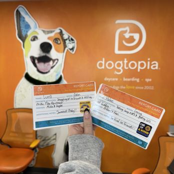 Dogtopia McKinney - Pet Boarding Near Me - McKinney, Texas Dogtopia McKinney - Pet Boarding Near Me - McKinney, Texas