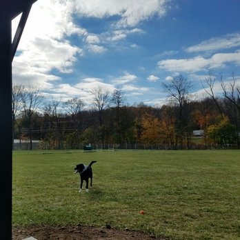 Cheshire Dog Park - Dog Parks Near Me - Cheshire, Connecticut Cheshire Dog Park - Dog Parks Near Me - Cheshire, Connecticut