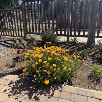 Halfway Station - Lots of flowers in the back seating area. - New American Near Me - Atascadero, California