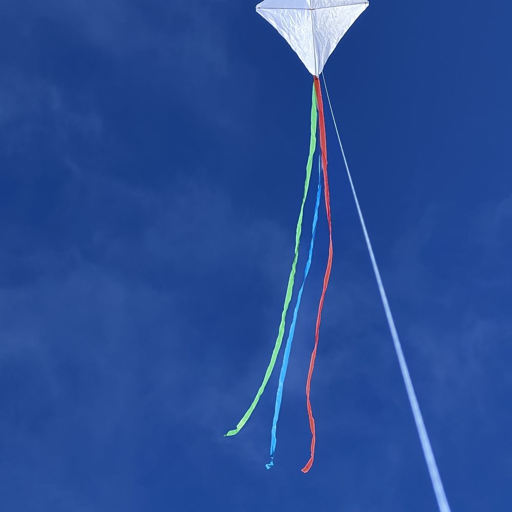 Our kite flying high