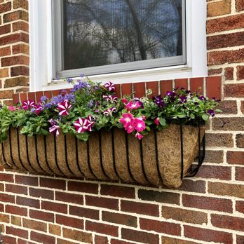 Tropical Interiors - a window box filled with flowers - Landscaping Near Me Tropical Interiors - a window box filled with flowers - Landscaping Near Me