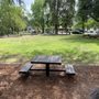 Photo of Lyman Park