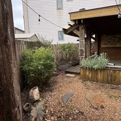 Verdure Landscape - Cleaning up a backyard for a client