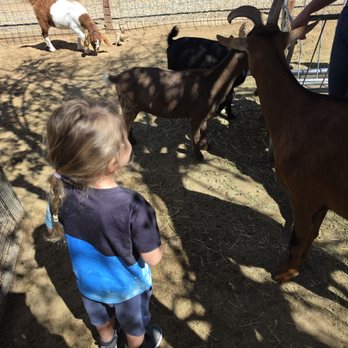 Blossom Peak Ranch - Vacation Rentals Near Me - Three Rivers, California Blossom Peak Ranch - Vacation Rentals Near Me - Three Rivers, California