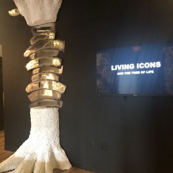 The Health Museum - Installation - Museums Near Me - Houston, Texas