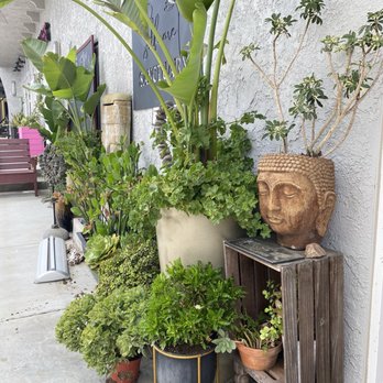 Mantra Karuna - Welcome sign plants - Massage Therapy Near Me - Carlsbad, California Mantra Karuna - Welcome sign plants - Massage Therapy Near Me - Carlsbad, California
