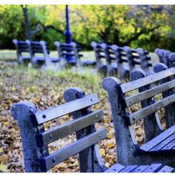 Silver Lake Park