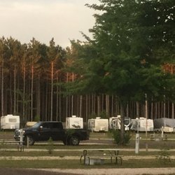 Timberline Campground - The trees on one side of the campground.