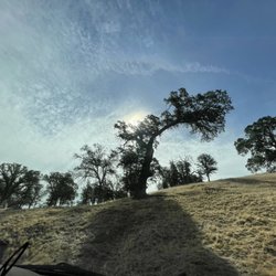 Hill 559