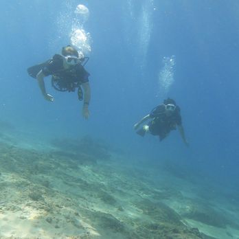 Trident Adventures - Under the Ko Olina sea - Dive Shops Near Me - Honolulu, Hawaii Trident Adventures - Under the Ko Olina sea - Dive Shops Near Me - Honolulu, Hawaii
