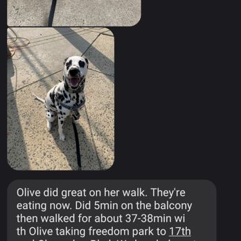 Tail Wagging Dog Services - screen shot of an update from the walk - Dog Walkers Near Me Tail Wagging Dog Services - screen shot of an update from the walk - Dog Walkers Near Me