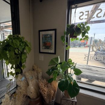 Yelp Community Event: Summer Solstice Soiree - Hanging plans and monstera - Yelp Events Near Me - Fort Worth, Texas Yelp Community Event: Summer Solstice Soiree - Hanging plans and monstera - Yelp Events Near Me - Fort Worth, Texas