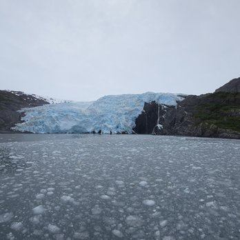 Phillips Cruises & Tours - Blackstone Glacier - Boat Tours Near Me - Whittier, Alaska