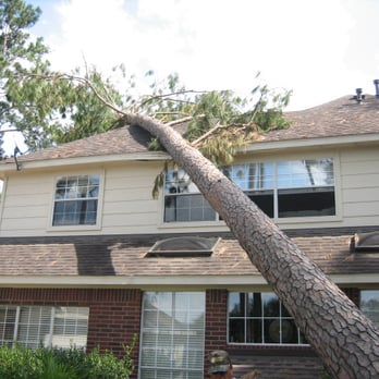 Cadieu Tree Experts - Tree Services Near Me - Charlotte, North Carolina Cadieu Tree Experts - Tree Services Near Me - Charlotte, North Carolina