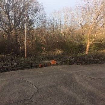 Eastern Tree & Construction - This is our neighbors yard and you can see across the street our other neighbors 30 year pecan tree that now has no limbs facing the Road - Tree Services Near Me - Birmingham, Alabama