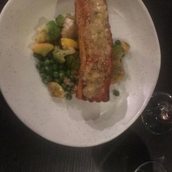 LASO - Salmon