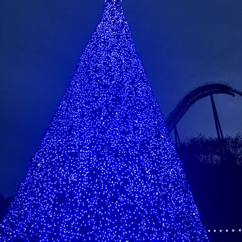Dollywood - Beautiful Blue Christmas Tree inside of Dollywood. Nov, 17, 2019. - Amusement Parks Near Me - Pigeon Forge, Tennessee Dollywood - Beautiful Blue Christmas Tree inside of Dollywood. Nov, 17, 2019. - Amusement Parks Near Me - Pigeon Forge, Tennessee
