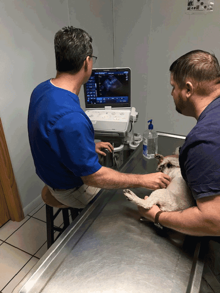 OPP VETERINARY HOSPITAL Updated August 2024 207 Hwy 52 E, Opp