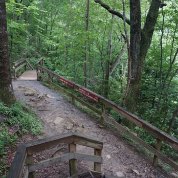 Cloudland Canyon State Park - Intersection of west rim and waterfall trails - Parks Near Me - Rising Fawn, Georgia