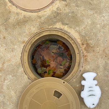 Blue Science Pools - This was taken ONE HOUR after "service" was performed. - Pool Cleaners Near Me - The Colony, Texas