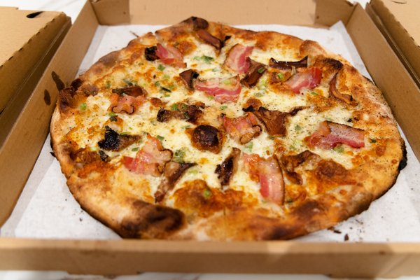 Pazzo by null