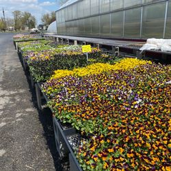 J & A Farm Market