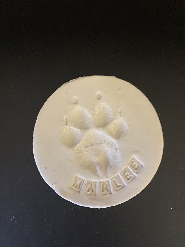 Compassionate Home Vets Image