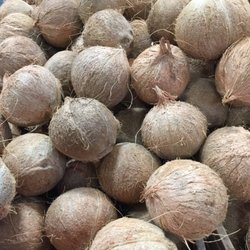 Esh's Market - Coconuts 2 for $3