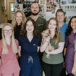 Shoreline Central Animal Hospital