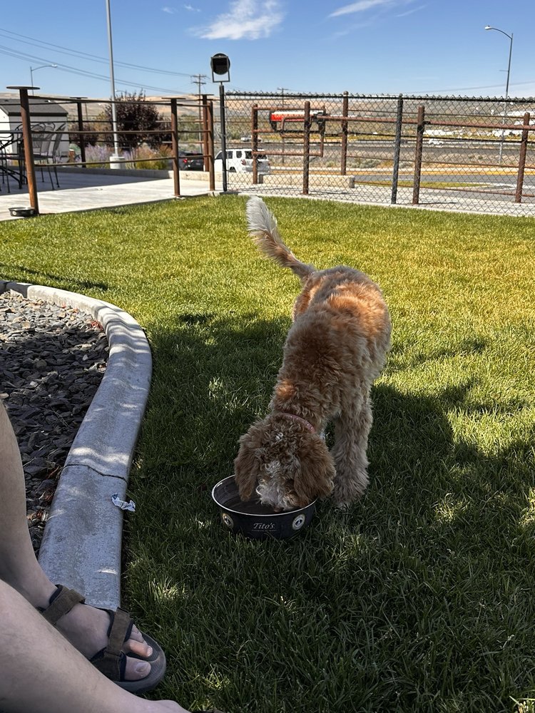 BADGER CANYON DUGOUT Updated October 2024 27 Reviews 12125 W