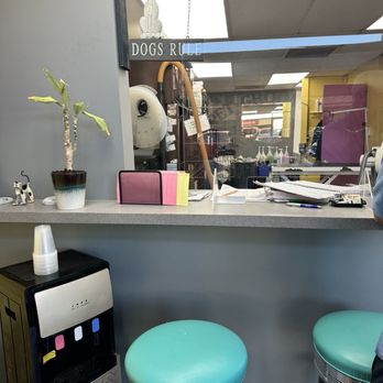 A Shear Pleasure Pet Salon - Check in area. Cute stools and water cups offered - Pet Groomers Near Me - Torrance, California A Shear Pleasure Pet Salon - Check in area. Cute stools and water cups offered - Pet Groomers Near Me - Torrance, California