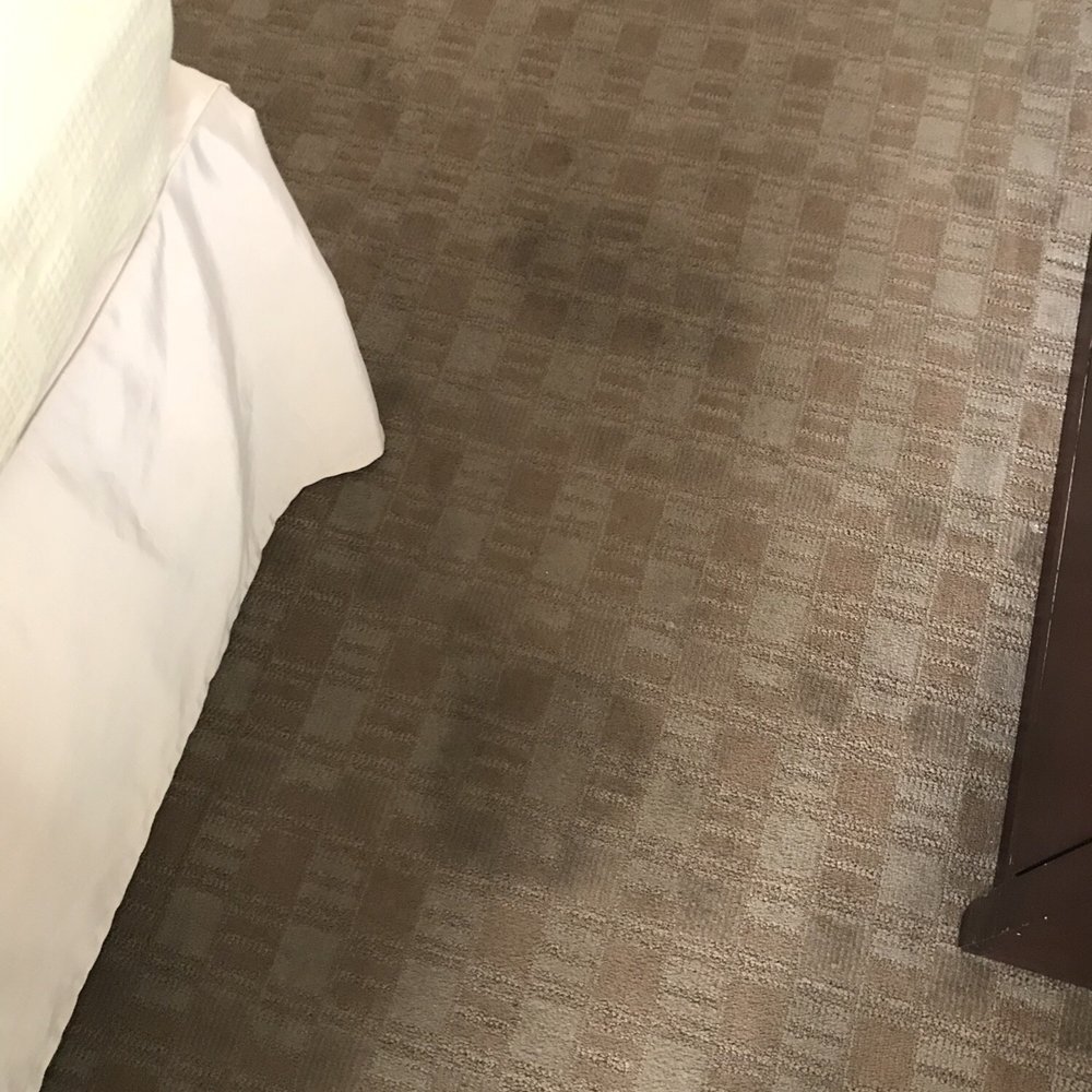 Quality Inn - Stains... why so many stains? - Hotels Near Me - Cambridge, Ohio Quality Inn - Stains... why so many stains? - Hotels Near Me - Cambridge, Ohio