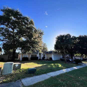 Southlake Tree Service - Before - Tree Services Near Me Southlake Tree Service - Before - Tree Services Near Me