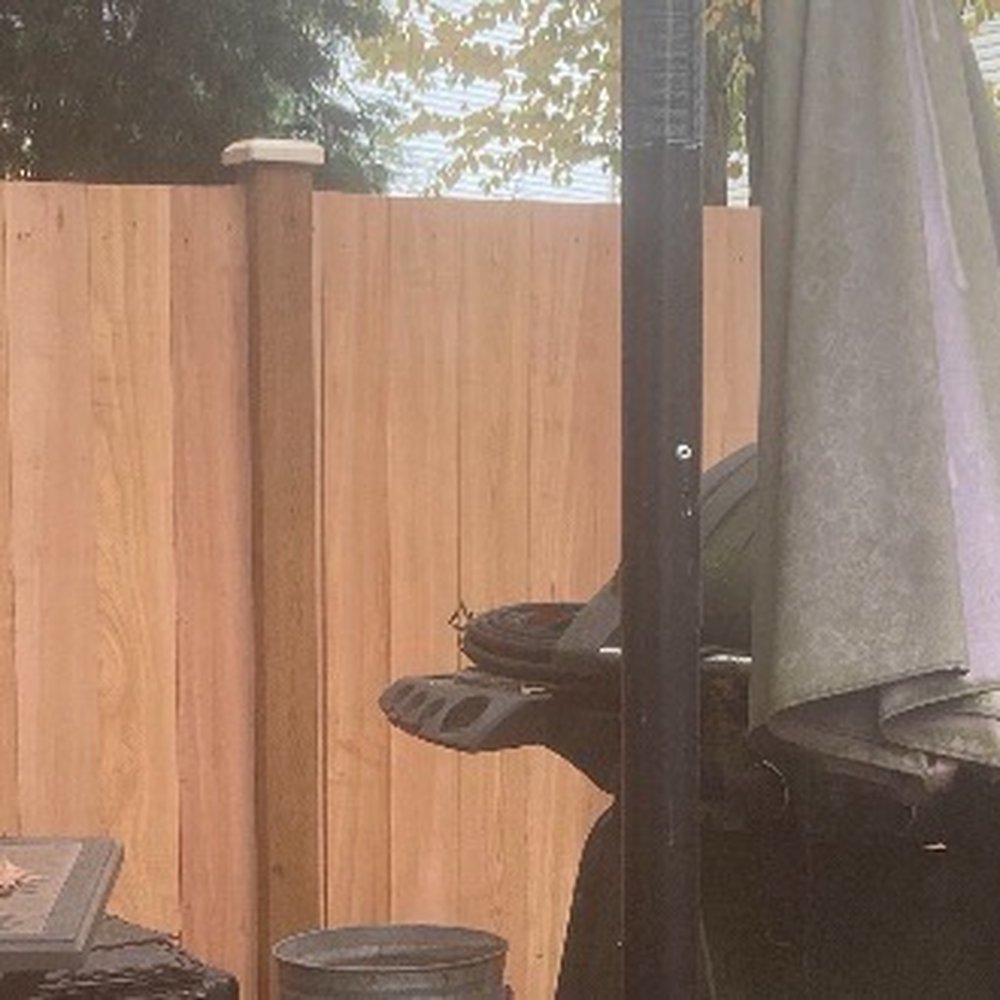 Fence.