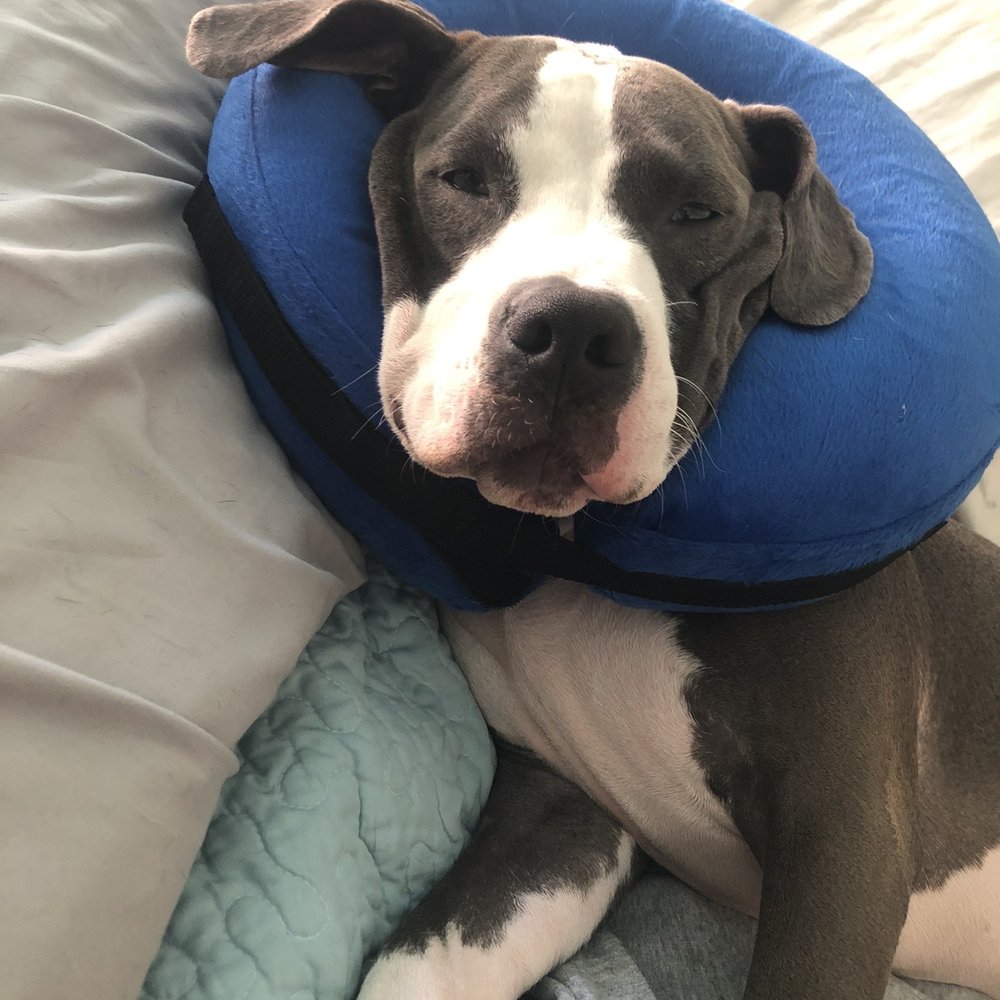 Cain after surgery Cain after surgery
