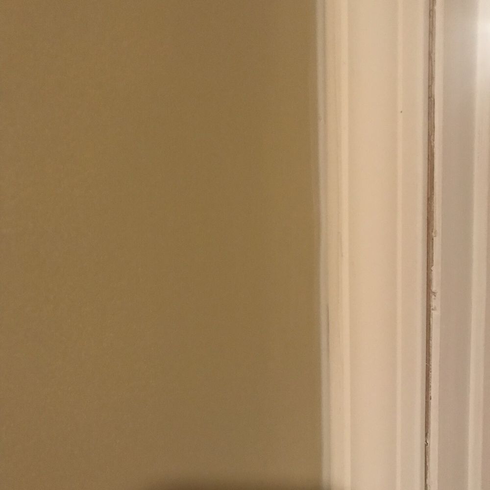 DEC Fire & Water Restoration - Media room wall paint - Damage Restoration Near Me - Birmingham, Alabama DEC Fire & Water Restoration - Media room wall paint - Damage Restoration Near Me - Birmingham, Alabama