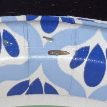 Luigi's Italian Restaurant - Maggot I found in my chicken and broccoli - Italian Near Me - Owasso, Oklahoma Luigi's Italian Restaurant - Maggot I found in my chicken and broccoli - Italian Near Me - Owasso, Oklahoma