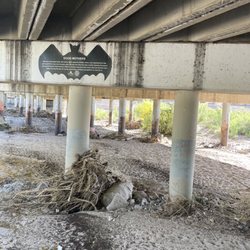 Rillito River Park - Bat information