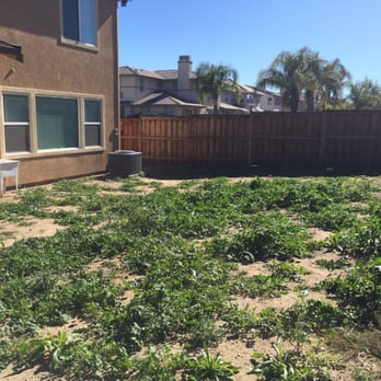 John Le Landscaping - Before - Landscaping Near Me
