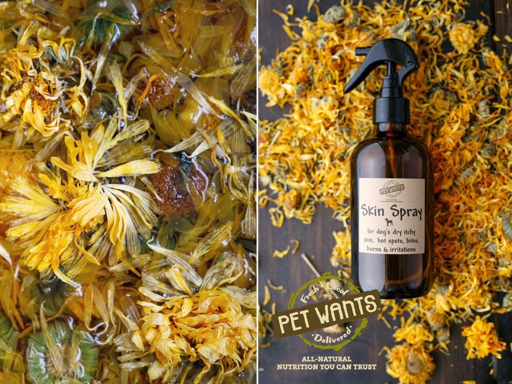 PET WANTS HOUSTON SE Updated 2024 18 Photos Friendswood, Texas