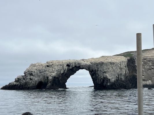 Island Packers Cruises by null