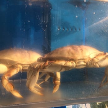 Full Kee Restaurant - Pick your crab - Chinese Near Me - Richmond, Virginia Full Kee Restaurant - Pick your crab - Chinese Near Me - Richmond, Virginia