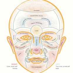 A Facial Diagnosis using Traditional Chinese Medicine, helps to connect physical and emotional threads between symptoms and dis-ease.