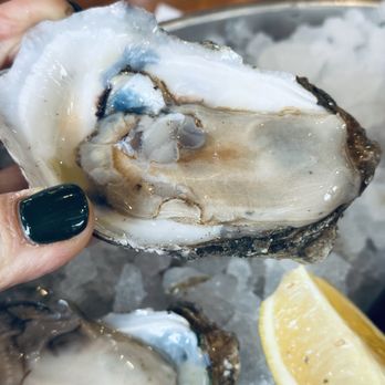 Peche Seafood and Grill - Louisiana oysters - Seafood Near Me - New Orleans, Louisiana Peche Seafood and Grill - Louisiana oysters - Seafood Near Me - New Orleans, Louisiana